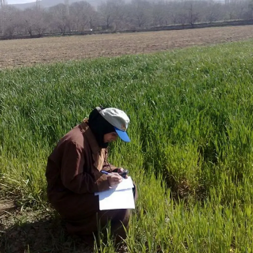 ثبت نام کار آموزی