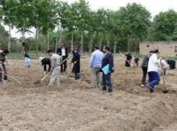 آموزش کار و دانش