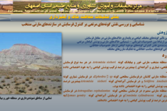 دستاوردهای مرکز