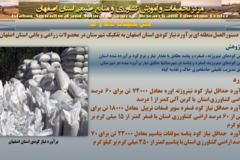 دستاوردهای مرکز