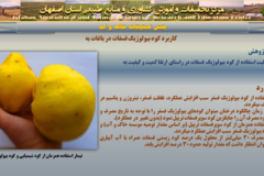 دستاوردهای مرکز