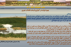 دستاوردهای مرکز