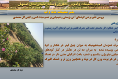 دستاوردهای مرکز