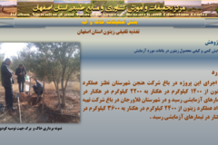 دستاوردهای مرکز