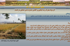 دستاوردهای مرکز