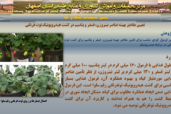 دستاوردهای مرکز