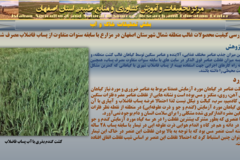 دستاوردهای مرکز