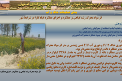 دستاوردهای مرکز