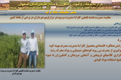 دستاوردهای مرکز