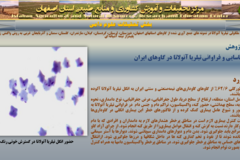 دستاوردهای مرکز