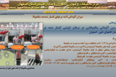 دستاوردهای مرکز