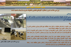 دستاوردهای مرکز