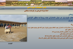 دستاوردهای مرکز