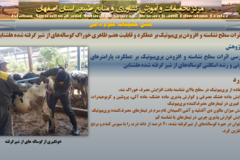 دستاوردهای مرکز