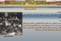 دستاوردهای مرکز