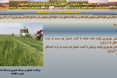 دستاوردهای مرکز