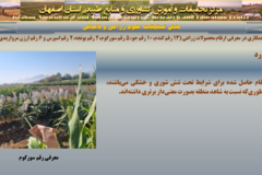 دستاوردهای مرکز