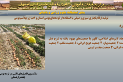 دستاوردهای مرکز