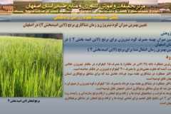 دستاوردهای مرکز