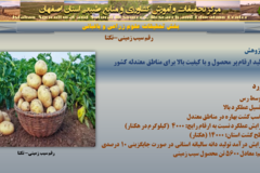 دستاوردهای مرکز