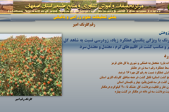 دستاوردهای مرکز