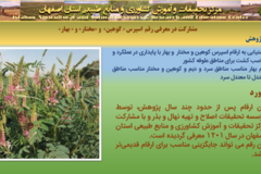 دستاوردهای مرکز