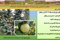 دستاوردهای مرکز