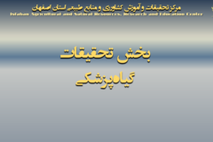 دستاوردهای مرکز