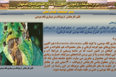 دستاوردهای مرکز