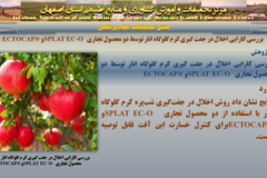 دستاوردهای مرکز