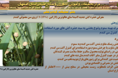 دستاوردهای مرکز