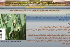 دستاوردهای مرکز