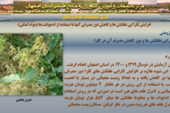 دستاوردهای مرکز