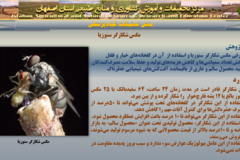 دستاوردهای مرکز