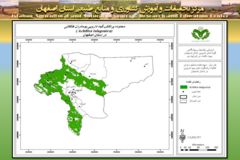 دستاوردهای مرکز