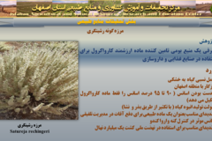 دستاوردهای مرکز