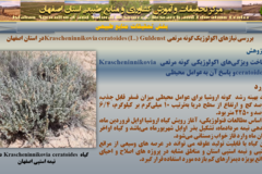 دستاوردهای مرکز