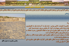 دستاوردهای مرکز