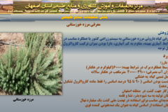 دستاوردهای مرکز