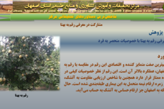 دستاوردهای مرکز