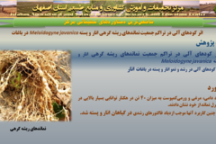 دستاوردهای مرکز