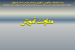 دستاوردهای مرکز