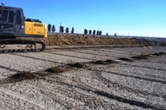 احداث باغ پسته