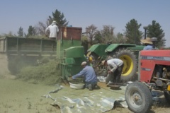 خرمنکوبی بذور