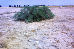 شرایط قبل از احداث ایستگاه