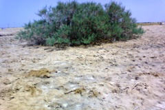 شرایط قبل از احداث ایستگاه