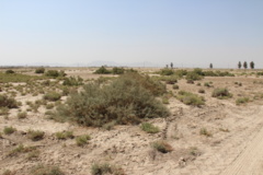 شرایط قبل از احداث ایستگاه