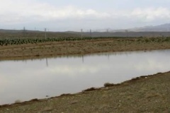 گالری  پخش سیلاب بر آبخوان کاشان