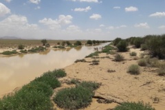 گالری  پخش سیلاب بر آبخوان سه