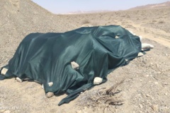 عملیات بازسازی بهسازی آبخوان هفتومان ۱۴۰۴